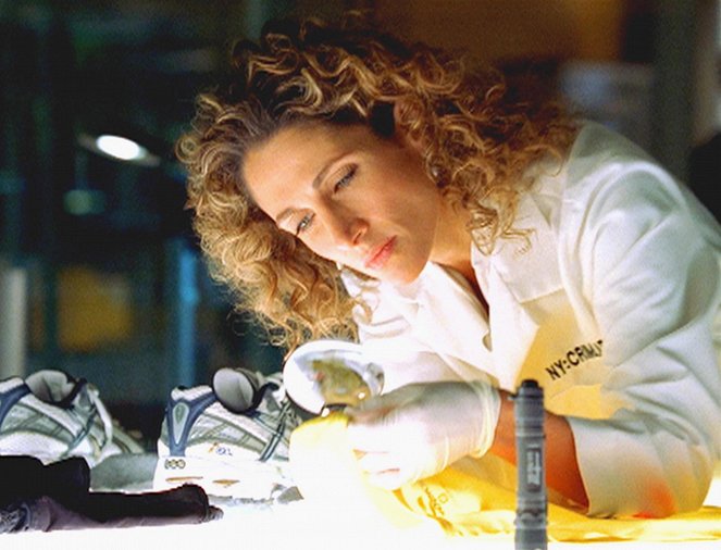 CSI: New York - Eiskalt - Filmfotos - Melina Kanakaredes
