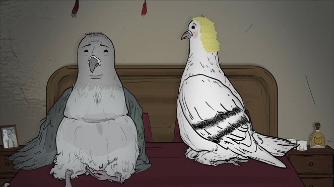 Animals. - Pigeons - Film
