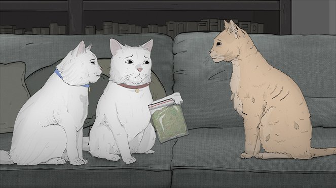 Animals. - Cats - Do filme