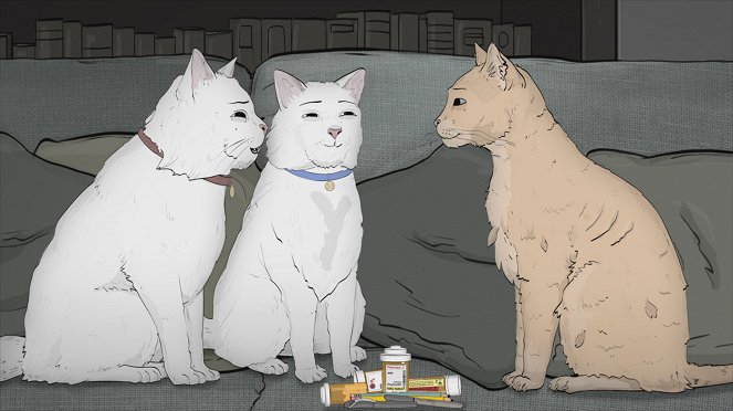 Animals. - Cats - De la película