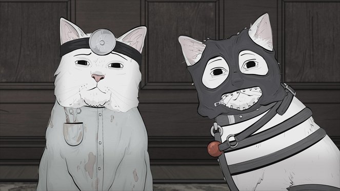 Zwierzęta - Cats - Z filmu