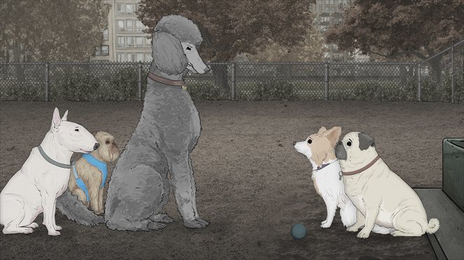 Animals. - Dogs - Van film