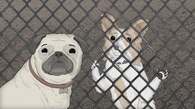 Animals - Dogs - Kuvat elokuvasta
