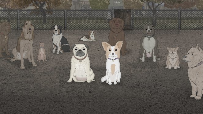 Animals. - Dogs - De la película
