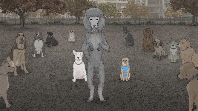 Animals. - Dogs - Van film