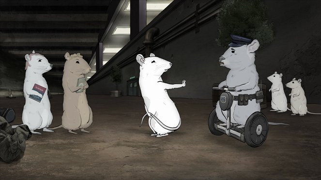 Animals. - Rats - Film