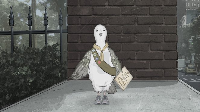 Animals. - Pigeons - Van film
