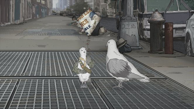Animals. - Pigeons - Film