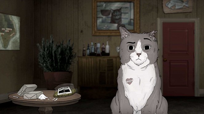 Animals. - Cats. Part II. - Film