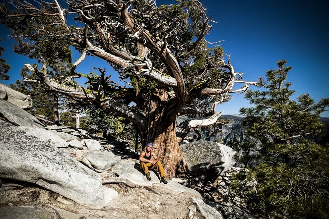 Bergwelten - Yosemite - Mythos aus Granit - Z filmu