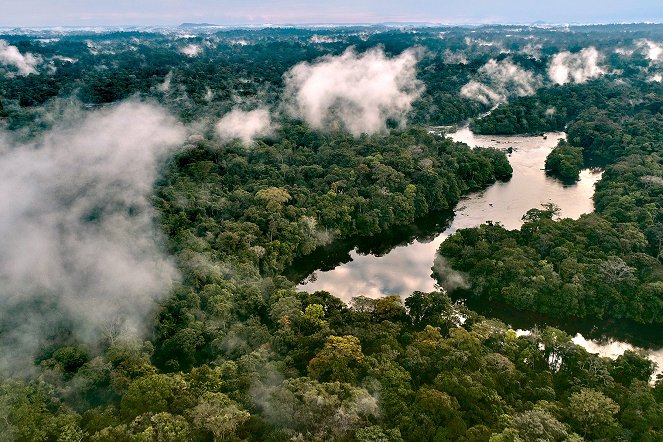 Deltas du monde - L’Amazone – Un trésor de biodiversité - De la película