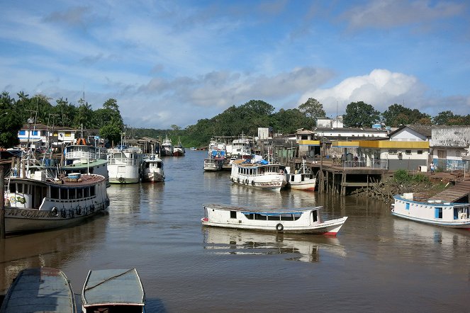 Deltas du monde - L’Amazone – Un trésor de biodiversité - Photos