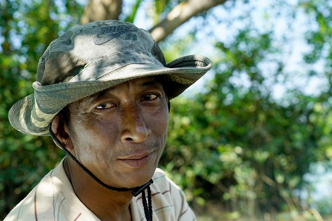 Deltas du monde - L’Irrawaddy – Le monde fascinant de la mangrove - Z filmu