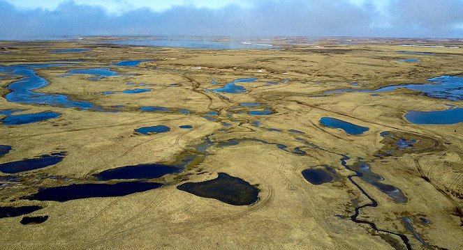 Deltas du monde - Le Yukon – Le monde sauvage de l'Arctique - De la película