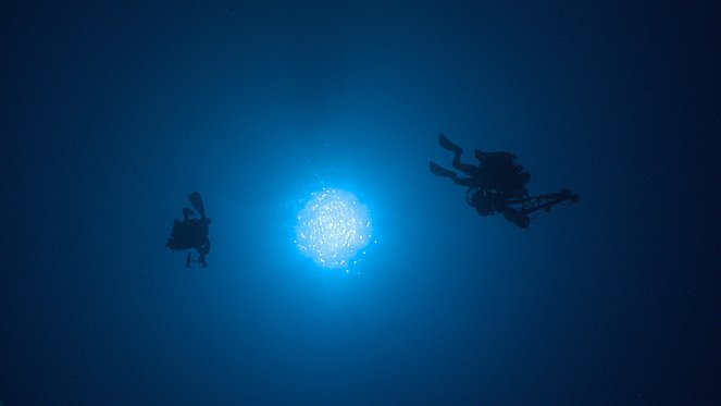 Le Coelacanthe - Plongée vers nos origines - Van film