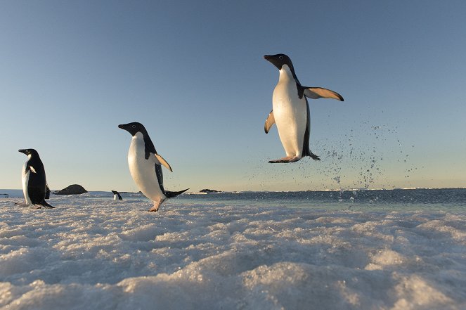 Antarctica - Filmfotos