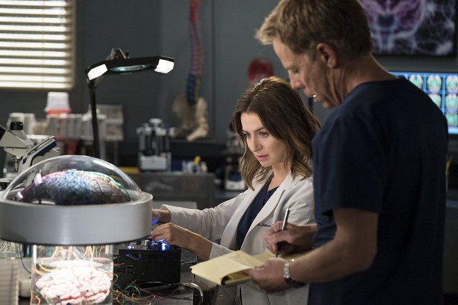 Grey's Anatomy - Season 15 - With a Wonder and a Wild Desire - Van film - Caterina Scorsone
