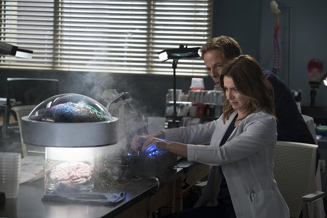 Grey's Anatomy - Season 15 - With a Wonder and a Wild Desire - Photos - Greg Germann, Caterina Scorsone