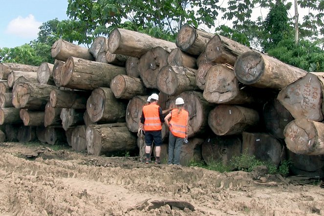 Die Ausbeutung der Urwälder - Kann ein Öko-Siegel die Forstindustrie stoppen? - Z filmu