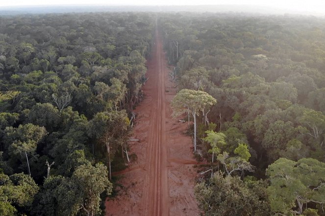 Die Ausbeutung der Urwälder - Kann ein Öko-Siegel die Forstindustrie stoppen? - Filmfotók