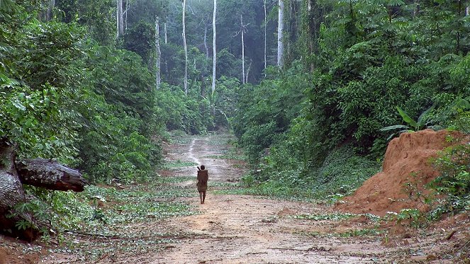Die Ausbeutung der Urwälder - Kann ein Öko-Siegel die Forstindustrie stoppen? - Filmfotók