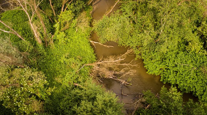 Wild Austria - Created by Water - Photos