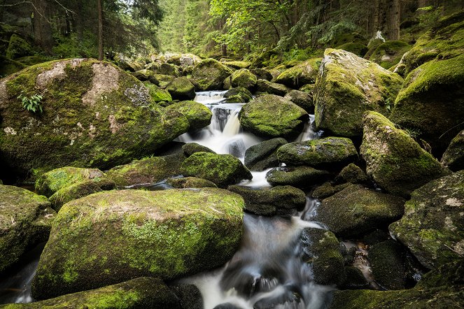 Wild Austria - Created by Water - Photos