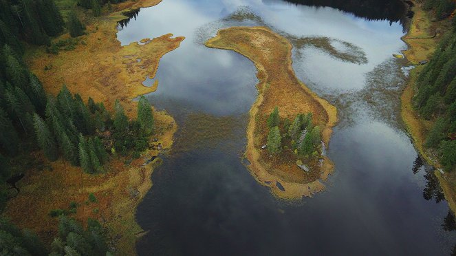 Wild Austria - Created by Water - Photos