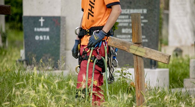 Leben für den Tod - Menschen am Zentralfriedhof - Z filmu