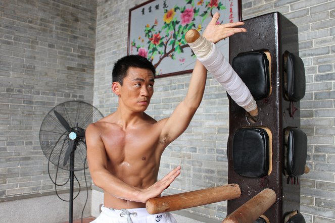 Choy Lee Fut Kung Fu - Photos - Baoqiang Wang