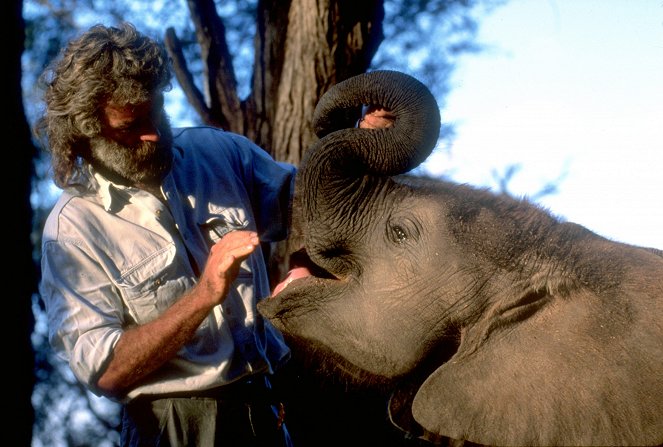 Whispers: Ein Elefantenmärchen - Filmfotos