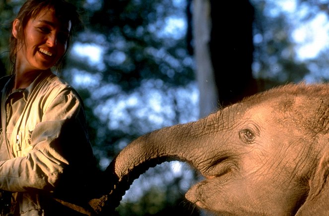 Šepot: Príbeh malého slona - Z filmu
