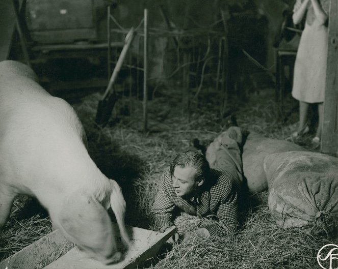 Blixt och dunder - Filmfotók - Hasse Ekman