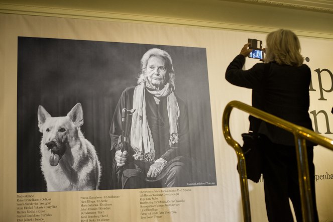 Auf der Suche nach Ingmar Bergman - Filmfotos