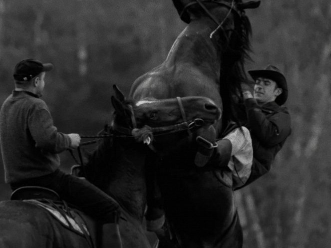 Horse Riders - Photos