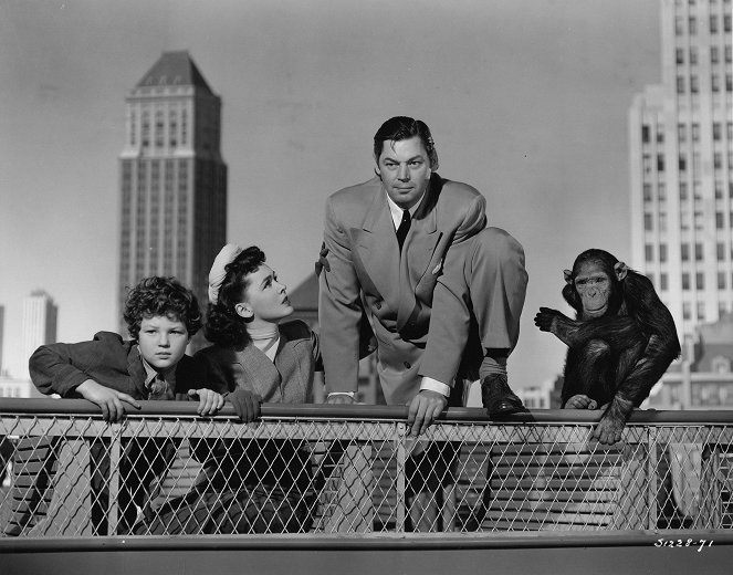 Tarzan à New York - Film - Johnny Sheffield, Maureen O'Sullivan, Johnny Weissmuller