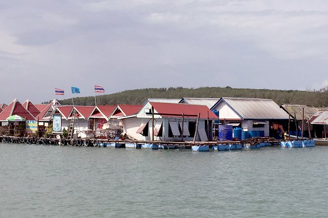 Mit Kompass und Köpfchen auf hoher See - Thailand, Phalang - Filmfotos
