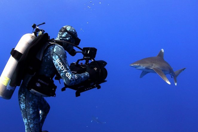 Sharkwater: Extinction - De la película