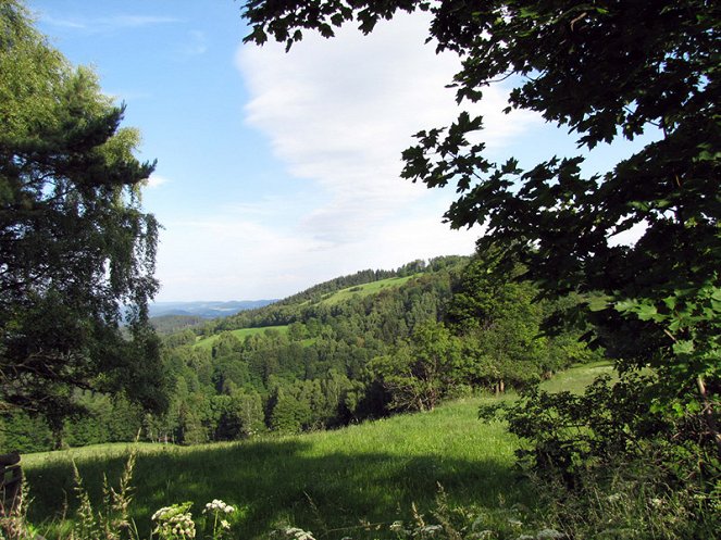 Návraty k divočině - Šumava - Filmfotók