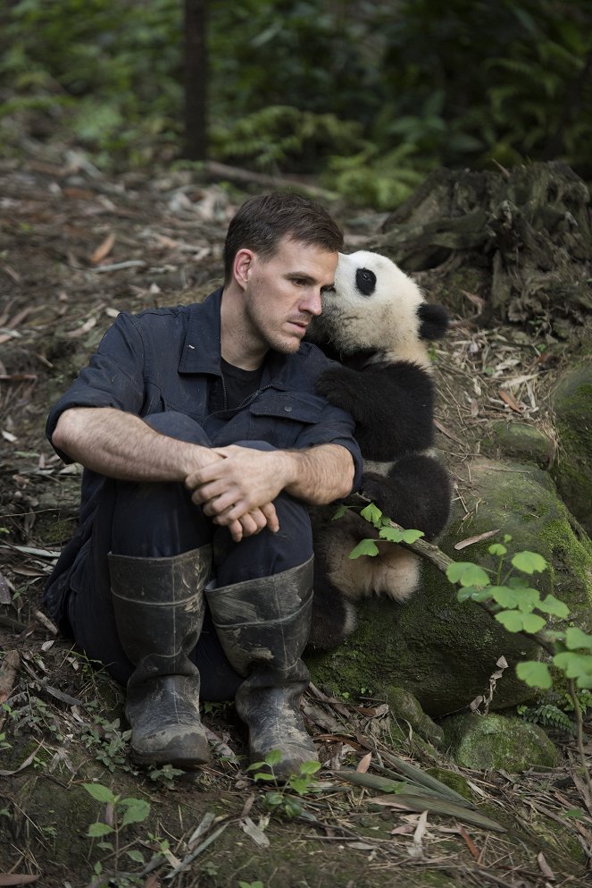 Pandas - Filmfotos