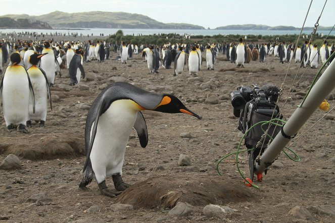 Die Rettung der Pinguin-Insel - Z filmu