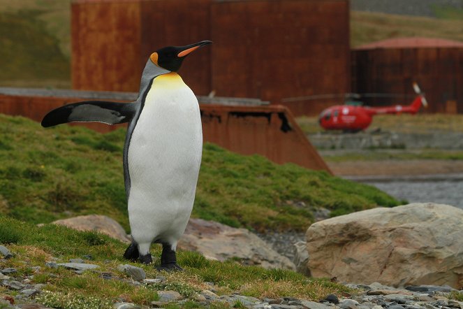 Die Rettung der Pinguin-Insel - Filmfotók