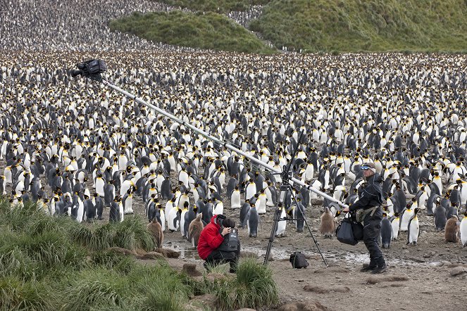 Die Rettung der Pinguin-Insel - Kuvat elokuvasta