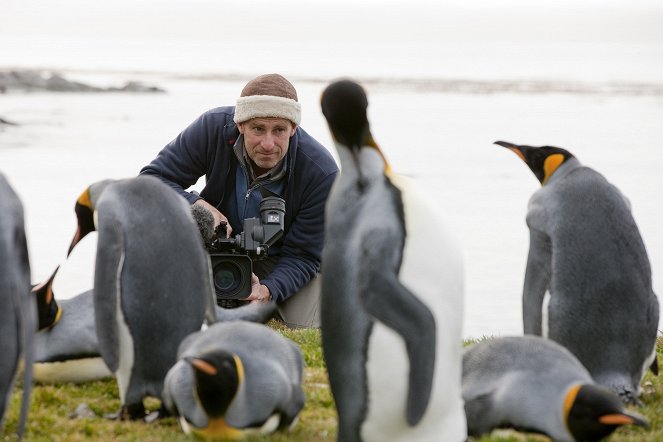 Die Rettung der Pinguin-Insel - Z filmu