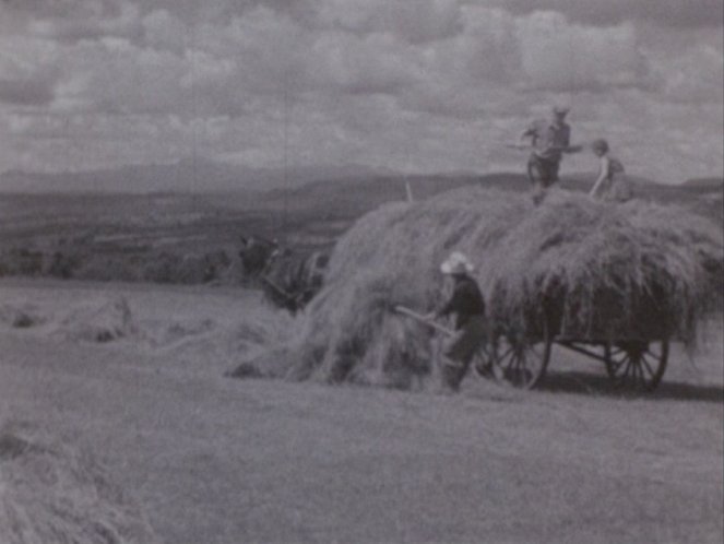 Farma Windy Ledge - Z filmu