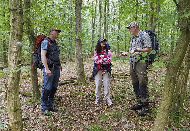 Der mit dem Wald spricht - Unterwegs mit Peter Wohlleben - Filmfotók - Sven Plöger, Barbara Wussow, Peter Wohlleben