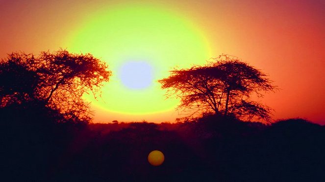 African Safari Adventure - Film