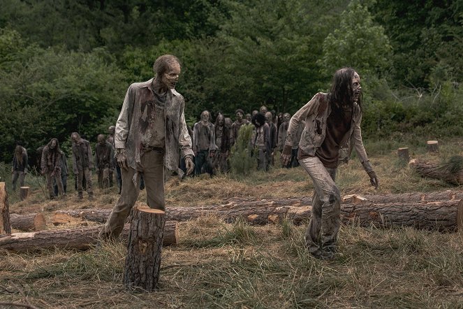 The Walking Dead - Le Pont - Film