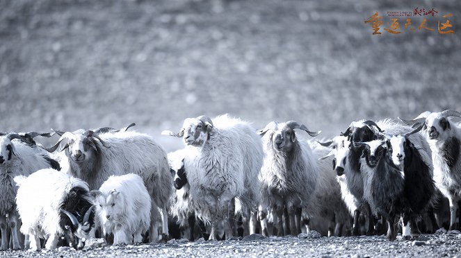 The Hidden Land: Back to No Man's Land in Northern Tibet - Lobbykaarten