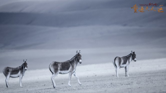 The Hidden Land: Back to No Man's Land in Northern Tibet - Mainoskuvat